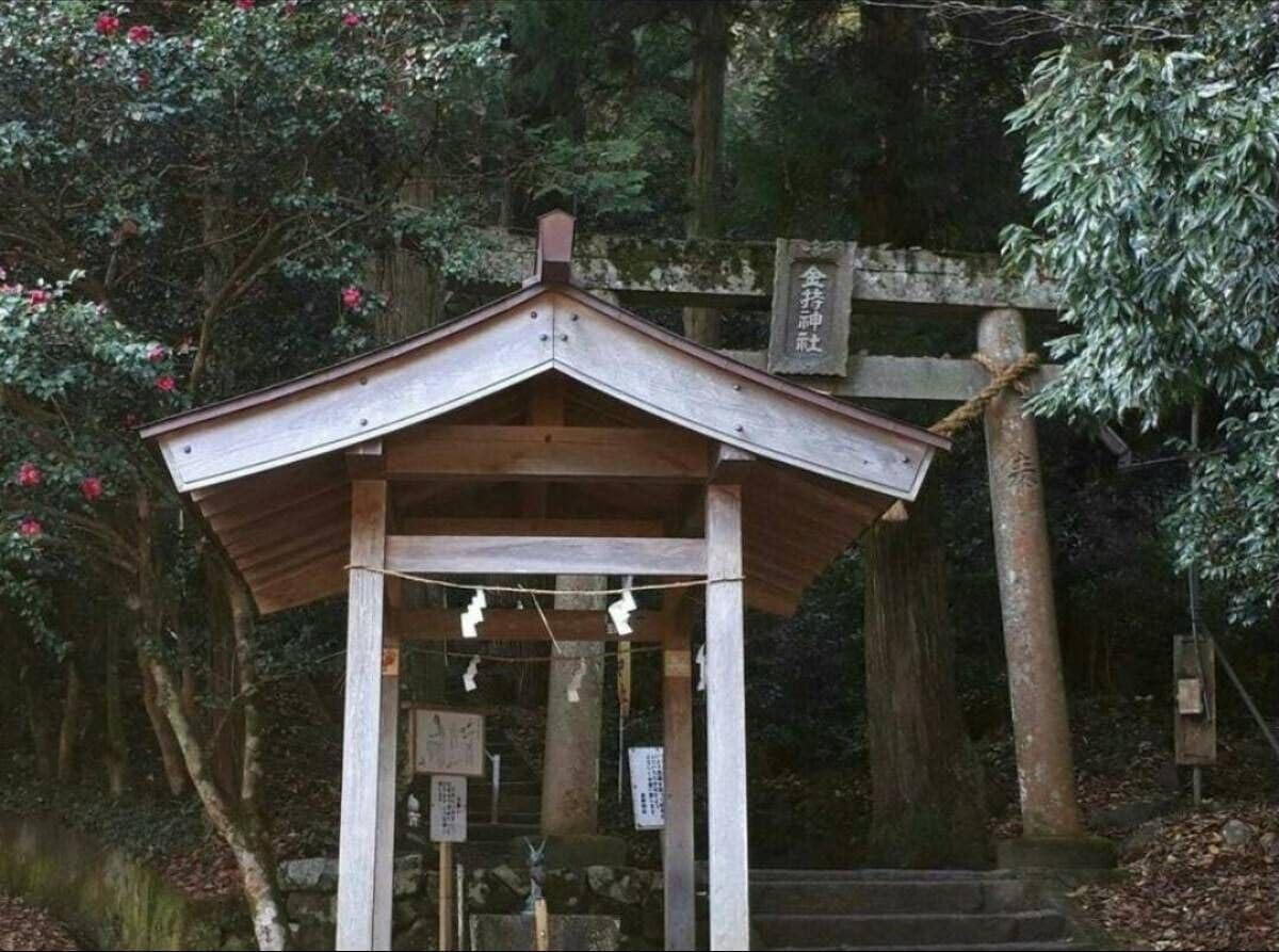 Amazon.co.jp: 金持神社 鳥取県 金色開運 2点セット 金運最強日 己巳の